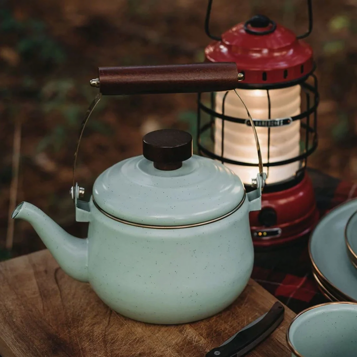 Barebones Enamel Teapot