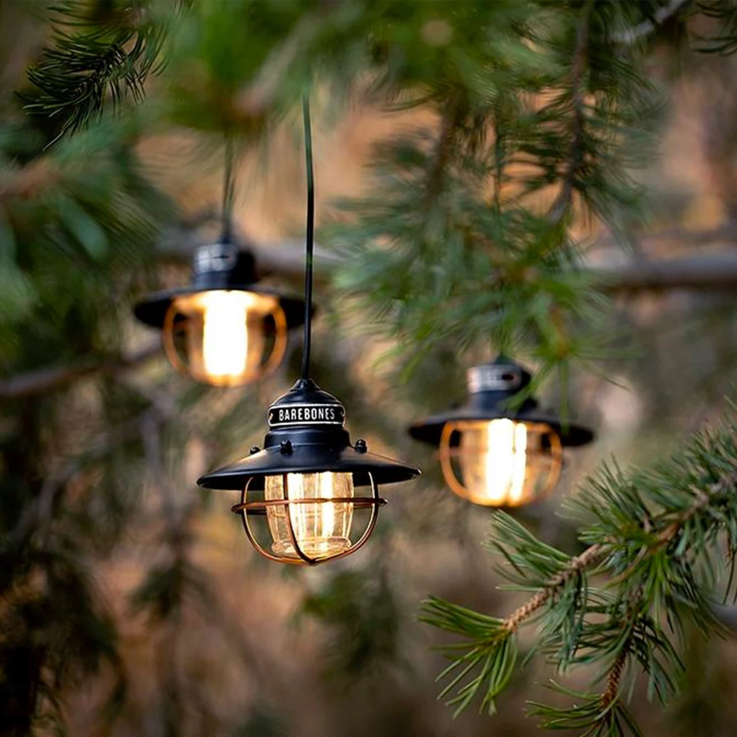 Barebones Edison String Lights