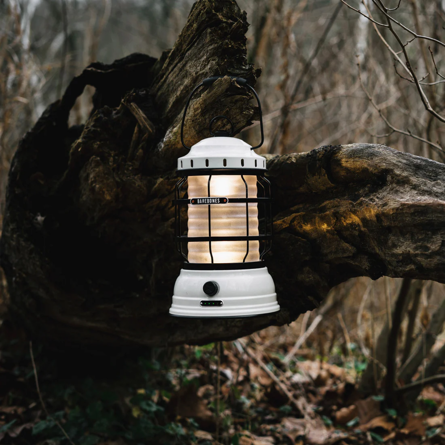 Barebones Forest Lantern